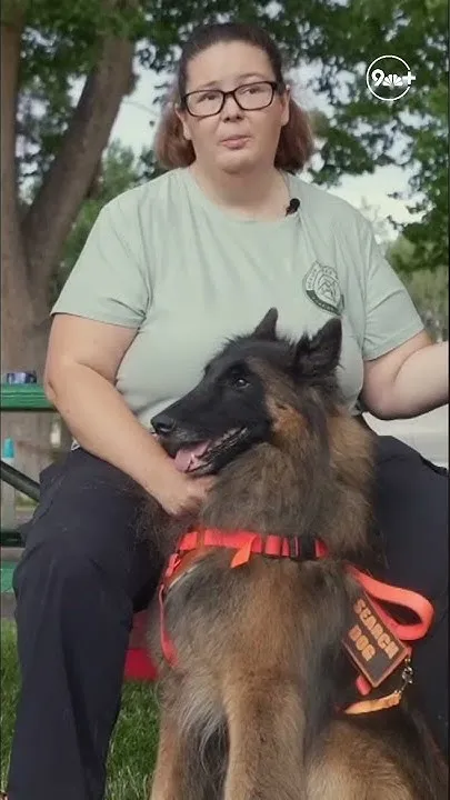 Dog searches Aspen Acres Fire for lost pets (Video)