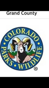 Colorado euthanizes wolf for killing too many livestock (Video)