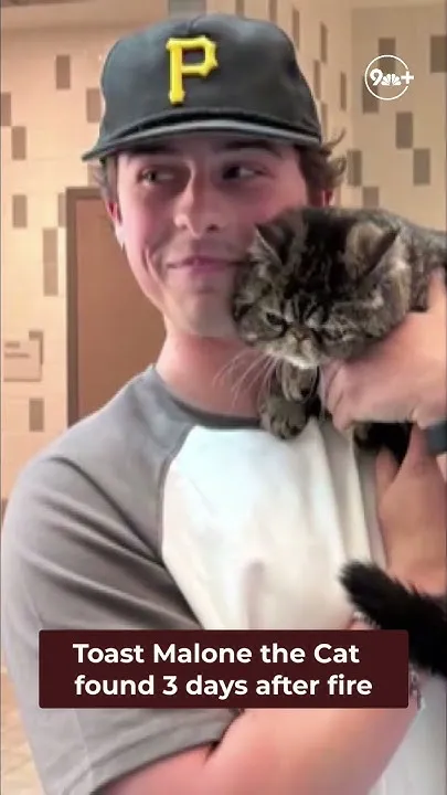 Cat named 'Toast Malone' rescued days after apartment fire in Salt Lake City (Video)
