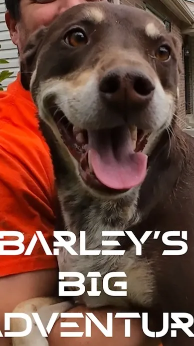 Barley's Rescue (Video)