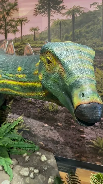 NEW IN DENVER: Deep Time Detour at Dinosaur Ridge!  (Video)