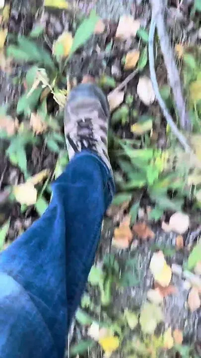 Leaves are changing fast in Summit County, Colorado (Video)