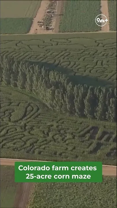 25-acre corn maze in Colorado (Video)