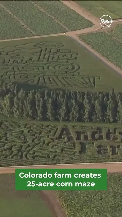 Corn Maze in Colorado (Video)
