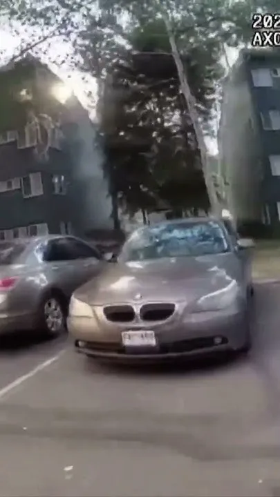 Deputy shoots bear that charged at crowd outside Colorado apartment complex (Video)