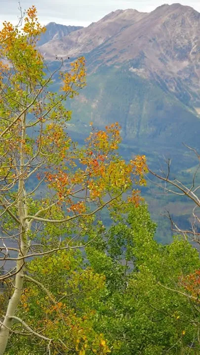 Summit County leaves are turning (Video)