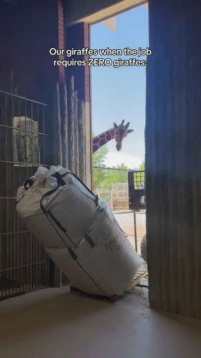 Our Very Helpful Herd (Video)