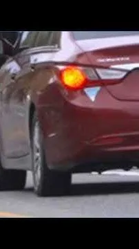 Family of moose stops traffic in Breckenridge (Video)