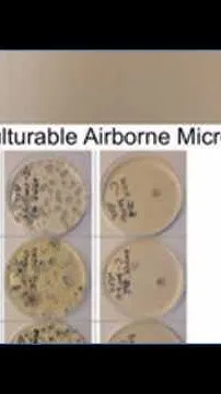 New CU Boulder research investigates airborne health hazards for cannabis workers (Video)