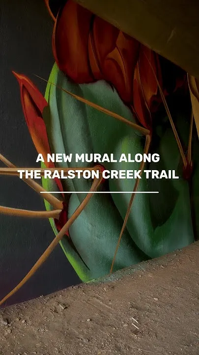 Meet the Artist Behind West Arvada's New Underpass Mural (Video)