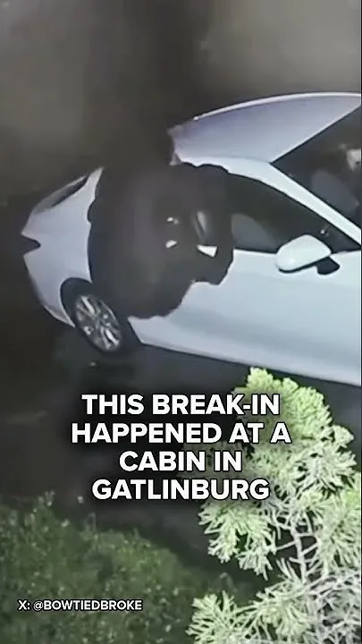 Bear breaks into car for Burger King (Video)