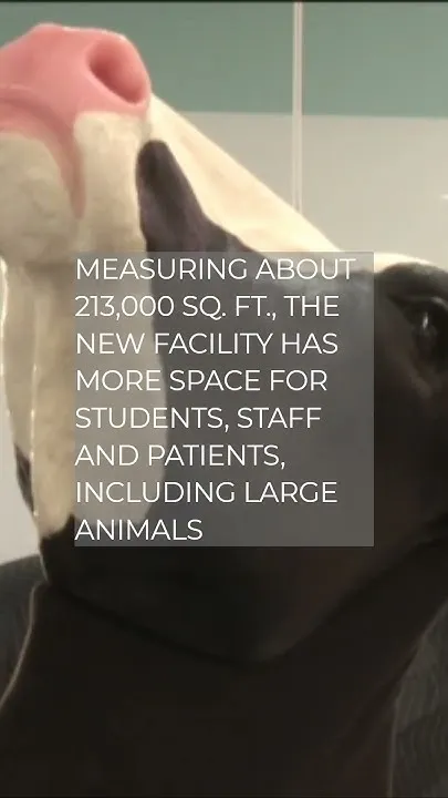 CSU celebrates opening of new vet hospital and education center (Video)