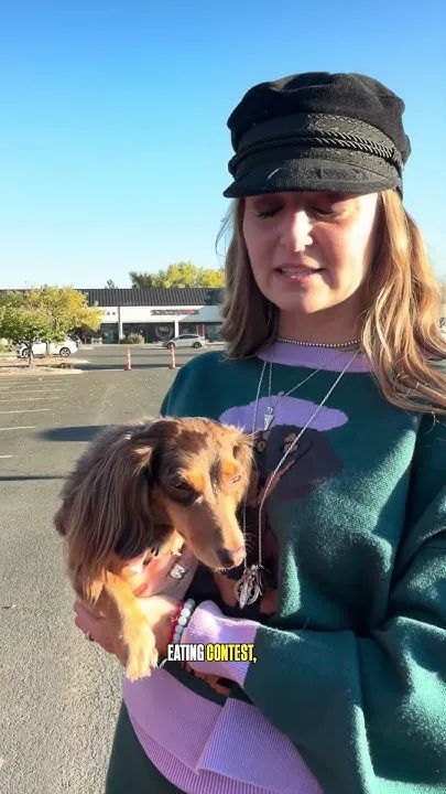 Dachshund fundraiser (Video)
