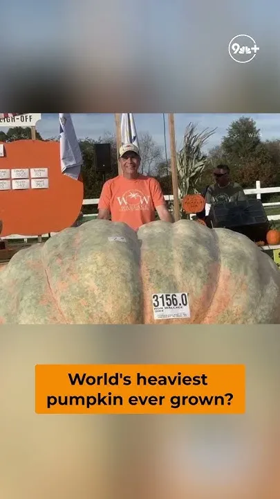 This pumpkin could be the heaviest ever grown (Video)