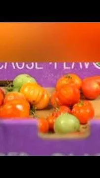 17.8% of Coloradans can't afford food they need, according to survey (Video)