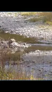 Vail Valley residents reduce their water use by 30% (Video)