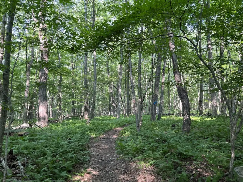UConn CT Trails Program: Know Before You Go with CT Trail Finder