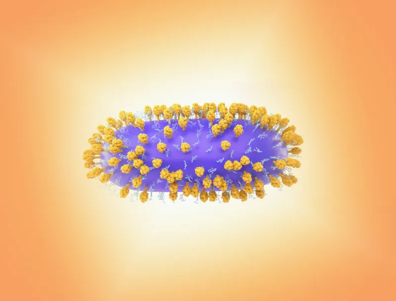 Genetic Mutations Responsible for Increased RSV Severity