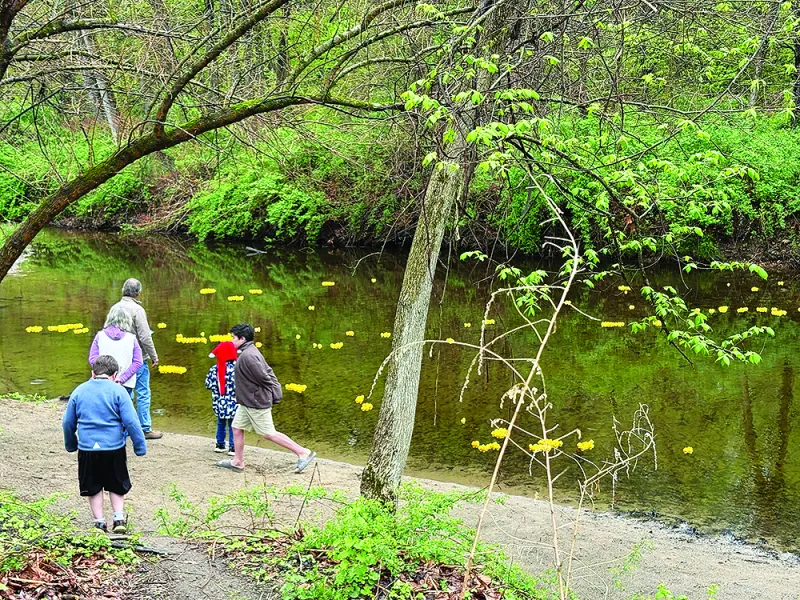 Granby Grange's duck race supports historic hall preservation