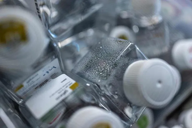 From fundamental biology to treatments for disease, stem cells are engines of discovery