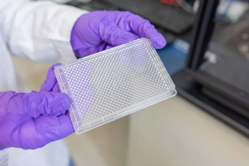 Identifying drug targets - and then the drugs