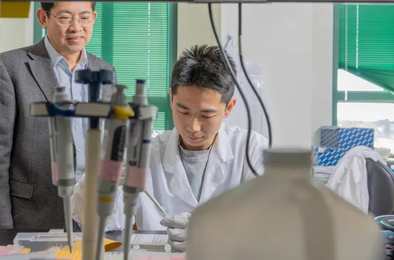 Hydrogel relieves pain and repairs cartilage in osteoarthritis