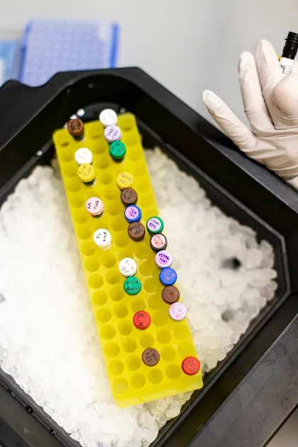 Understanding the immune system to predict, prevent, and treat diseases