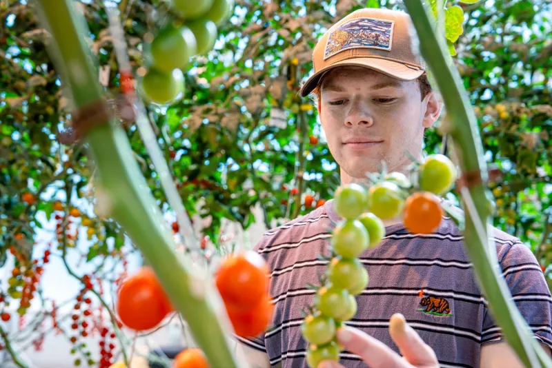 Leveraging New Technologies for Sustainable Agriculture