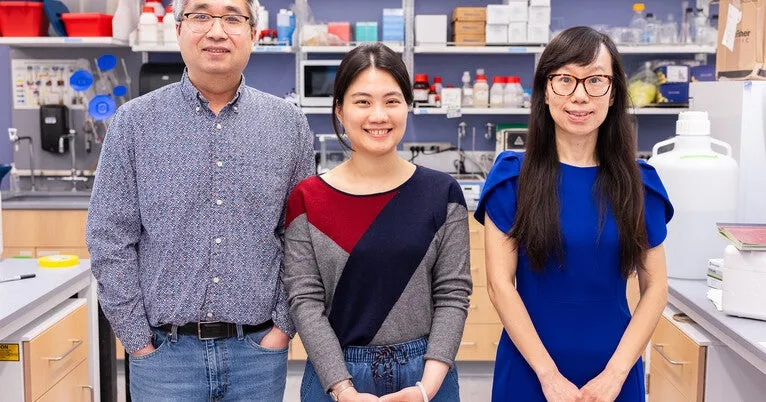 Beyond the brain: Organs help shape the nervous systems that control them