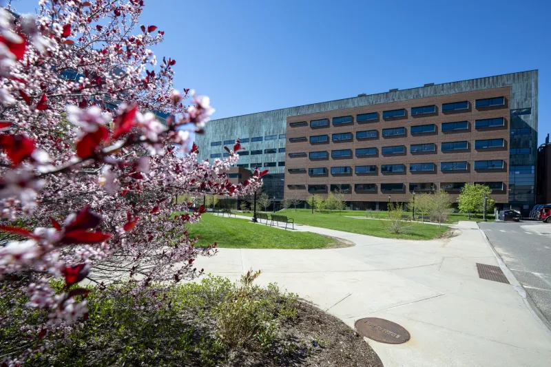 UConn Pharmacy Assistant Research Professor Wins Excellence in Research Award