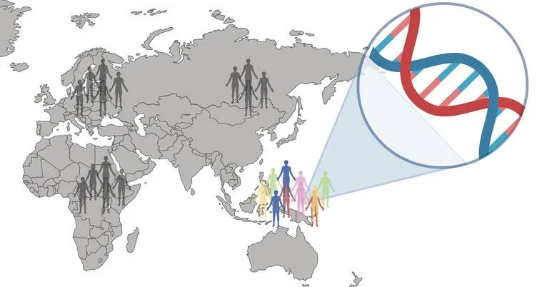 Genomes from Oceania offer new clues to human evolution