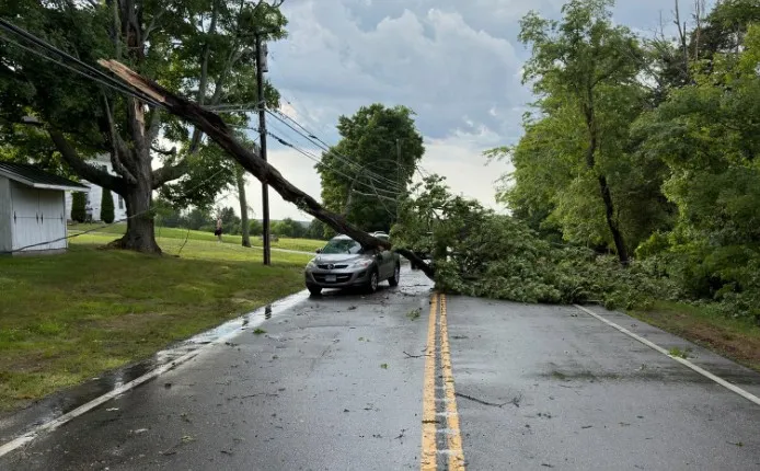 Severe thunderstorm in Connecticut downs trees, causes road closures
