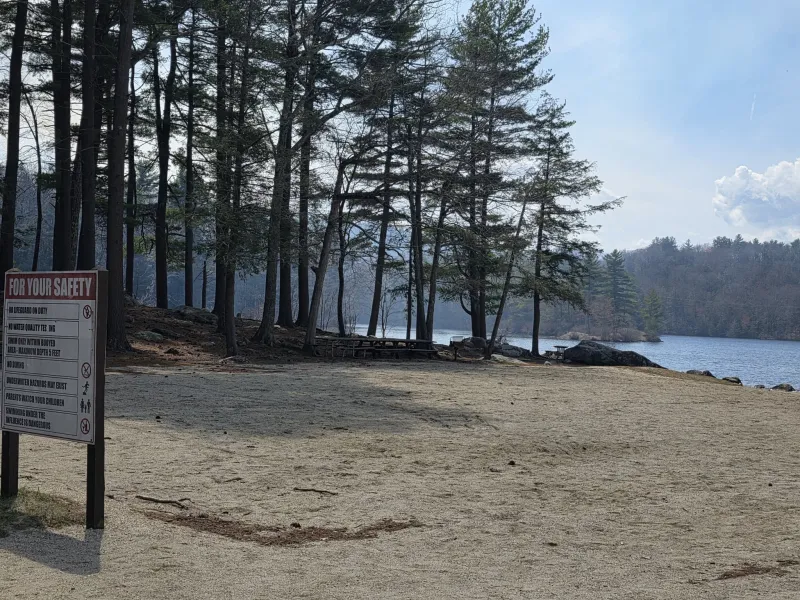 High forest fire risk across most of Connecticut on Saturday, officials warn