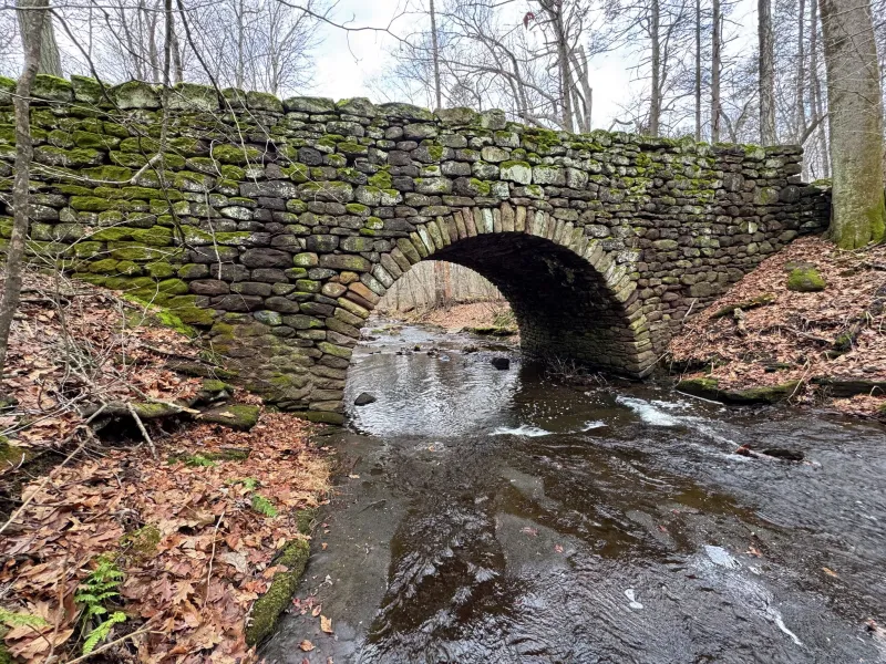 Two Connecticut state parks closed after parking lots reach capacity Saturday, state says