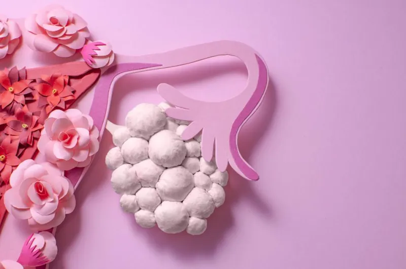 Aging reshapes the ovary long before reproductive function ends