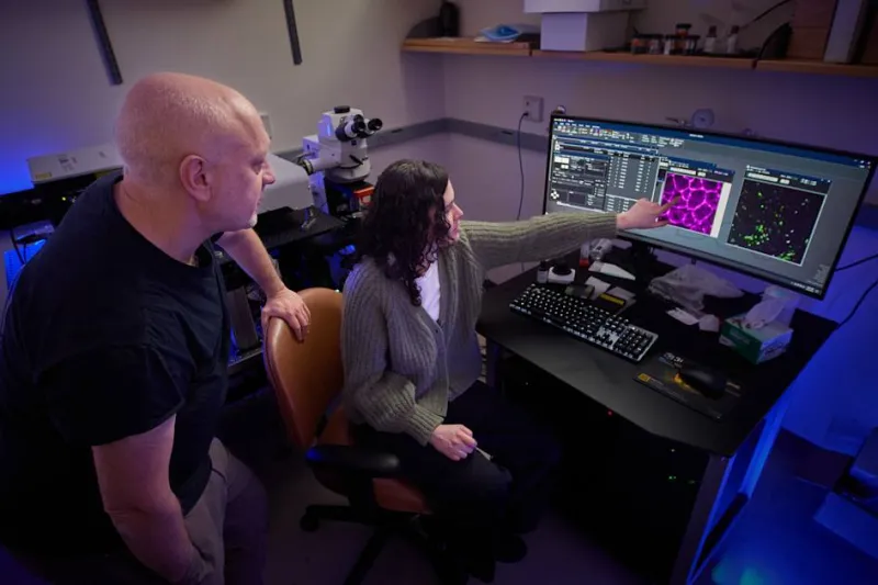 What the immune system does when you're not sick - and why it matters for aging