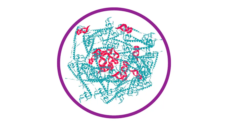 A two-pronged vaccine approach to prevent genital herpes