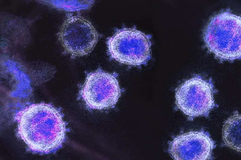 From Detection to Measurement: NIH Funds UConn Research to Expand CRISPR's Diagnostic Potential