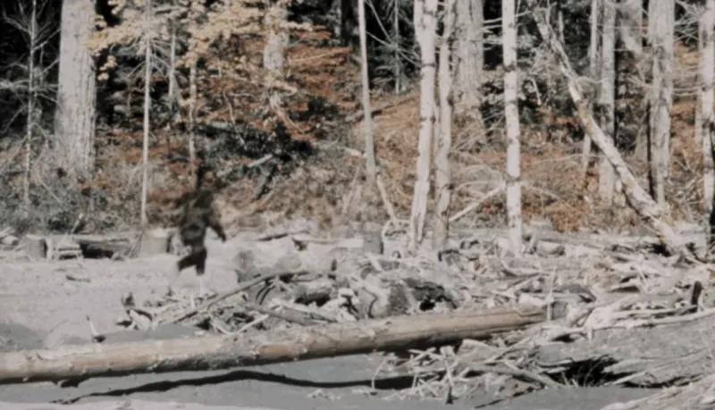 New York Bigfoot Claim Goes Viral After Hunter Reveals DNA Results