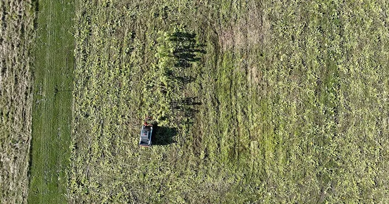 Removing 'forever chemicals' from farmlands - at a fraction of the cost