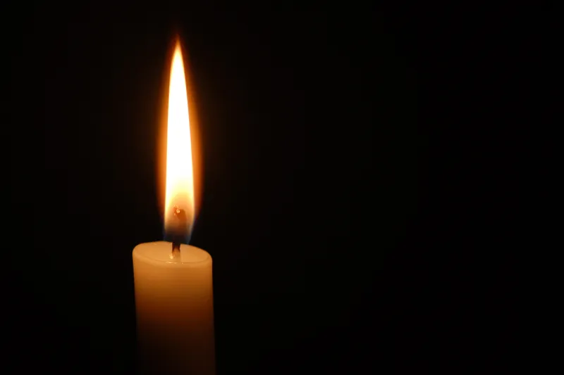 In Memoriam: Professor Emeritus Alan Brush