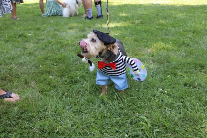From Rembrandt the Dog to LEGO Towers, Old Lyme's Midsummer Festival Delivers a Day of Art-Inspired Fun