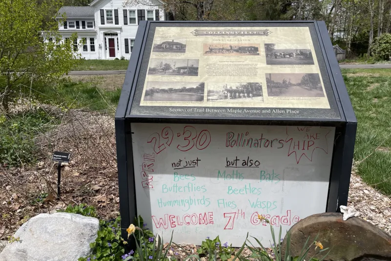 Lessons from the Collinsville Pollinator Trail on Managing Invasive Plants