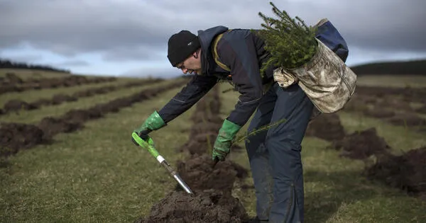 To reduce emissions, the carbon offsets market needs one crucial fix