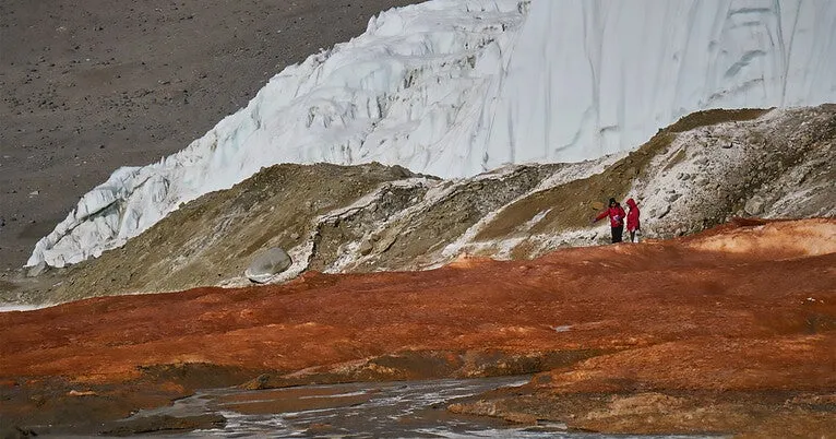 Red marks the spot: Network of complex microbes discovered at mysterious Blood Falls