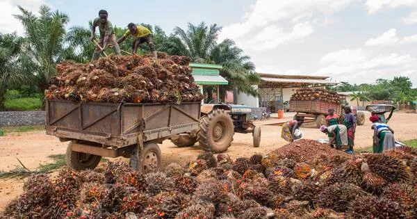 How Dr. Bronner's turned a soap company into a blueprint for regenerative business