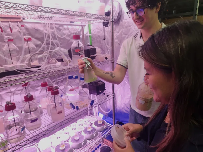 Development of Algae-Based Food Product Earns Prestigious Award