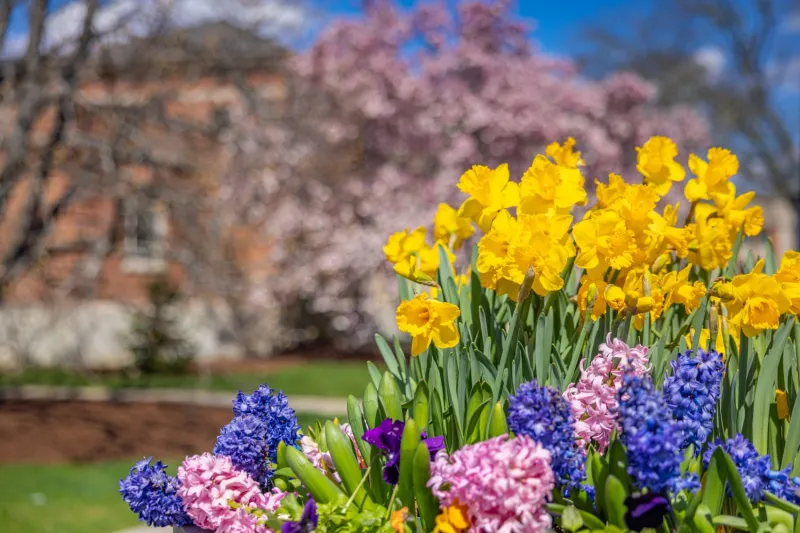 The Garden Help Desk You Didn't Know You Needed