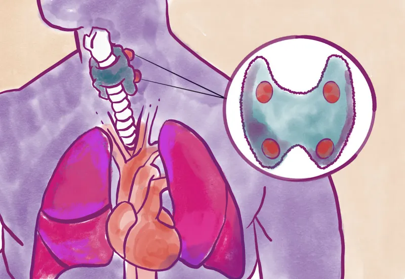 Meet the parathyroid