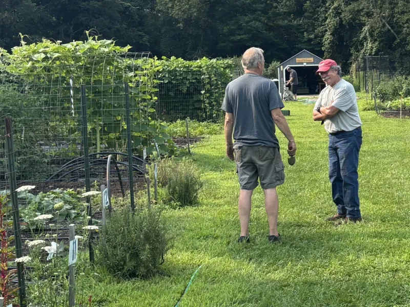 Lyme-Old Lyme Food Share Garden Support Runs Deep with $10,000 Donation from United Way